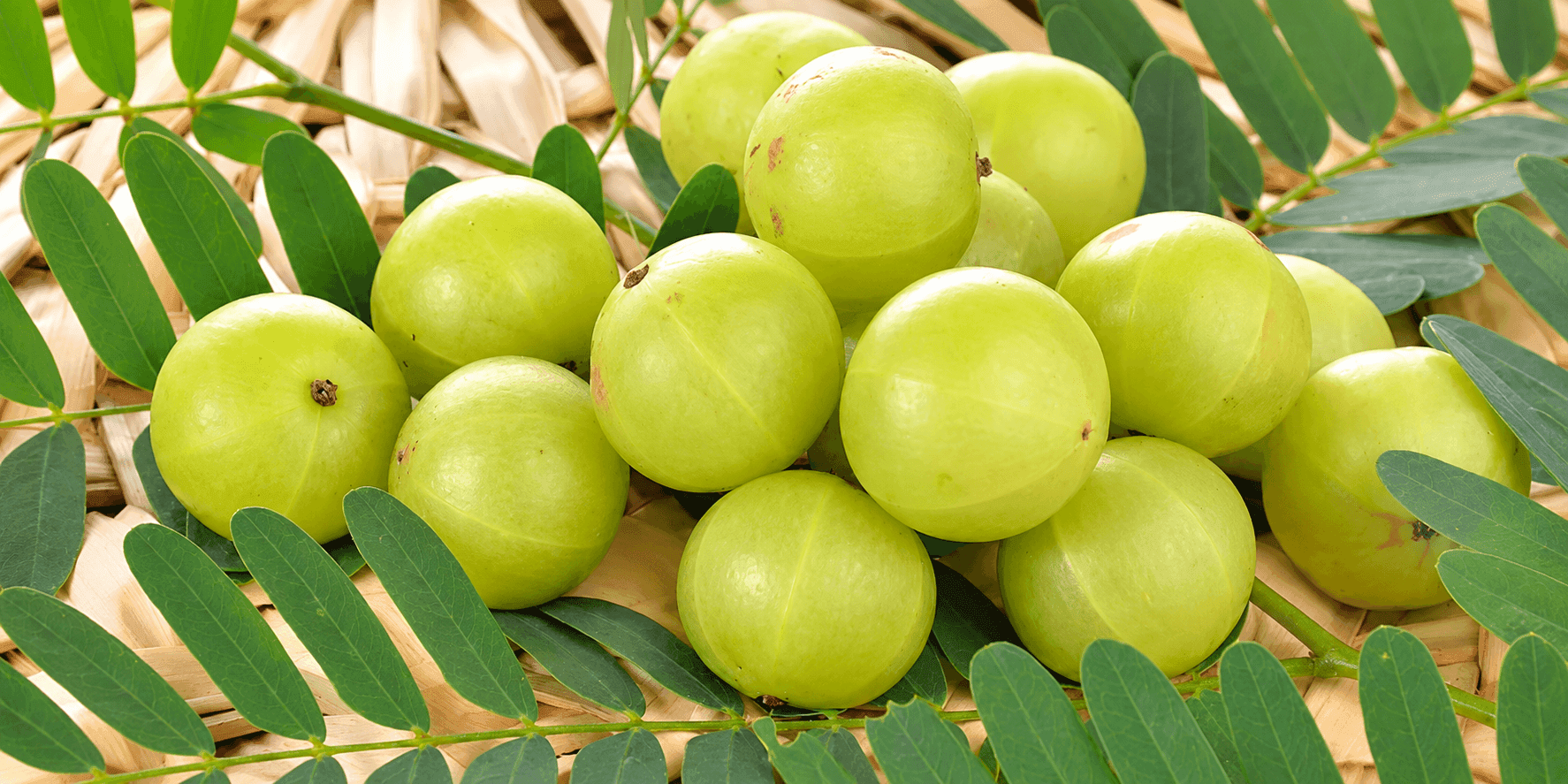 Is Amla Good for Diabetes? Why & How to Eat It