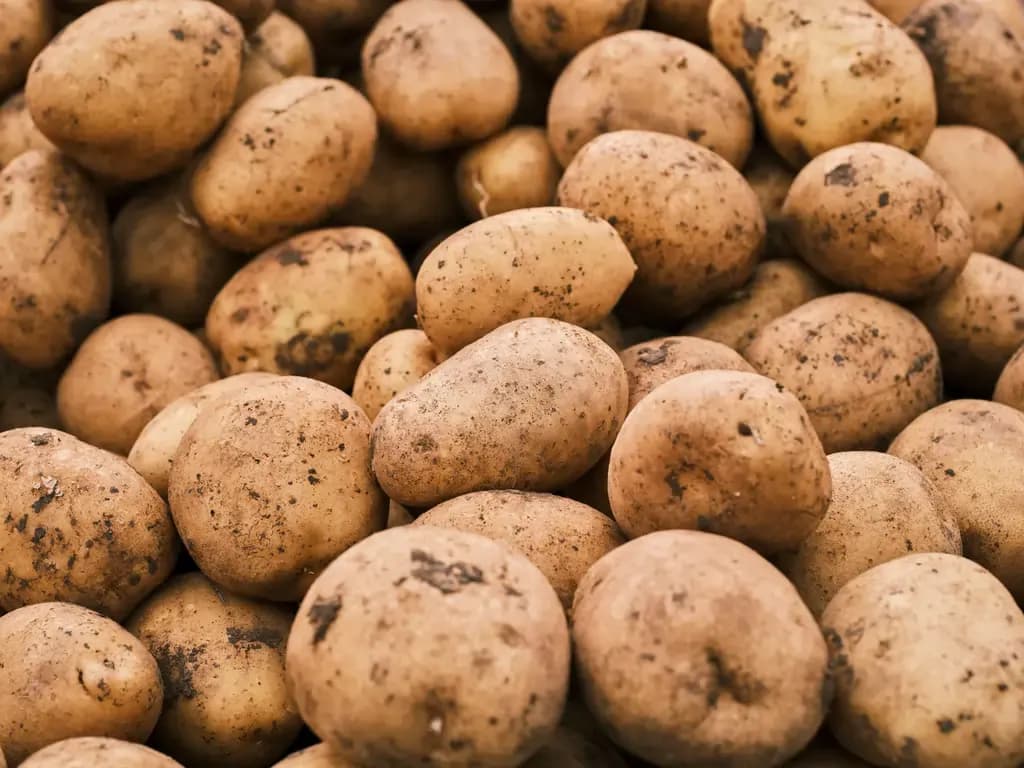 Is Eating Potatoes Good For Weight Loss?