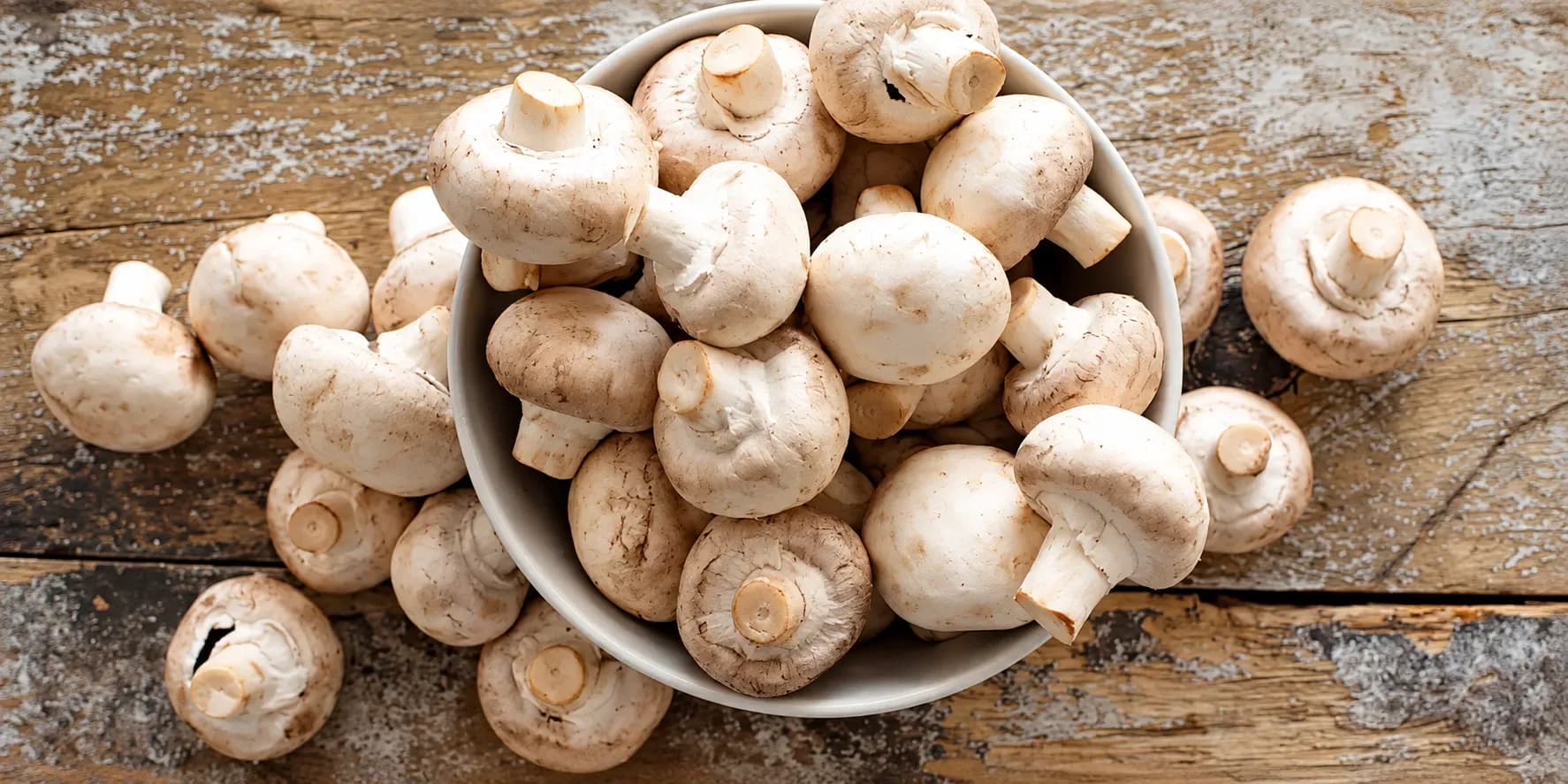 Is Mushroom Good for Diabetes? Benefits & How to Eat It