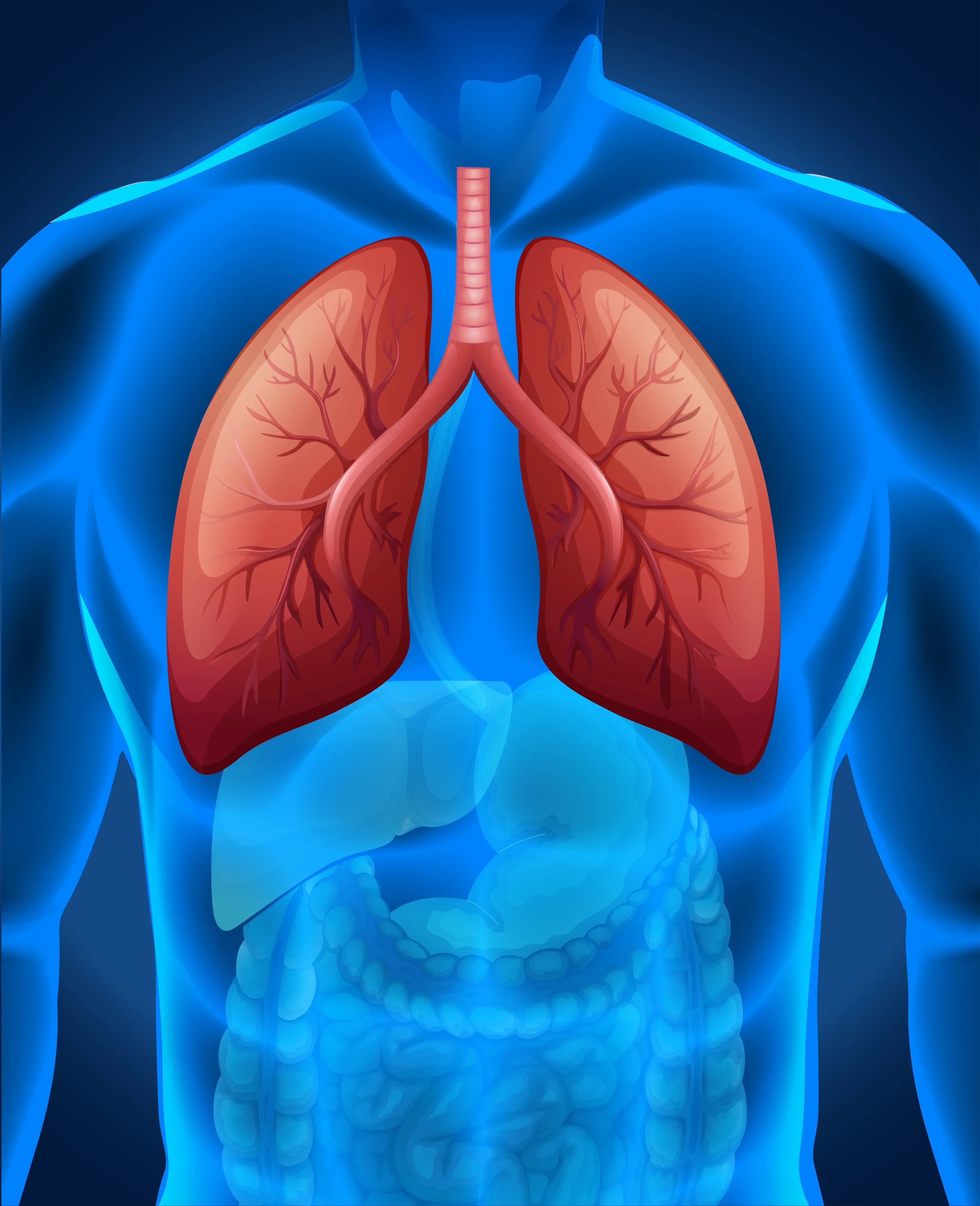 Air Pollution and Your Lungs: Warning Signs You Should Know